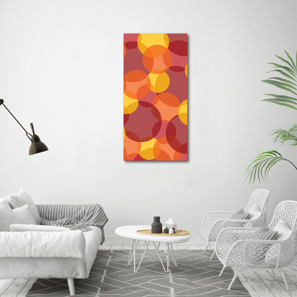 Foto-obraz canvas na ramie Kolorowe kółka