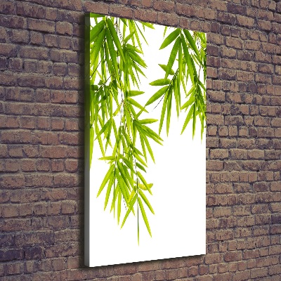 Foto-obraz canvas do salonu Liście bambusa