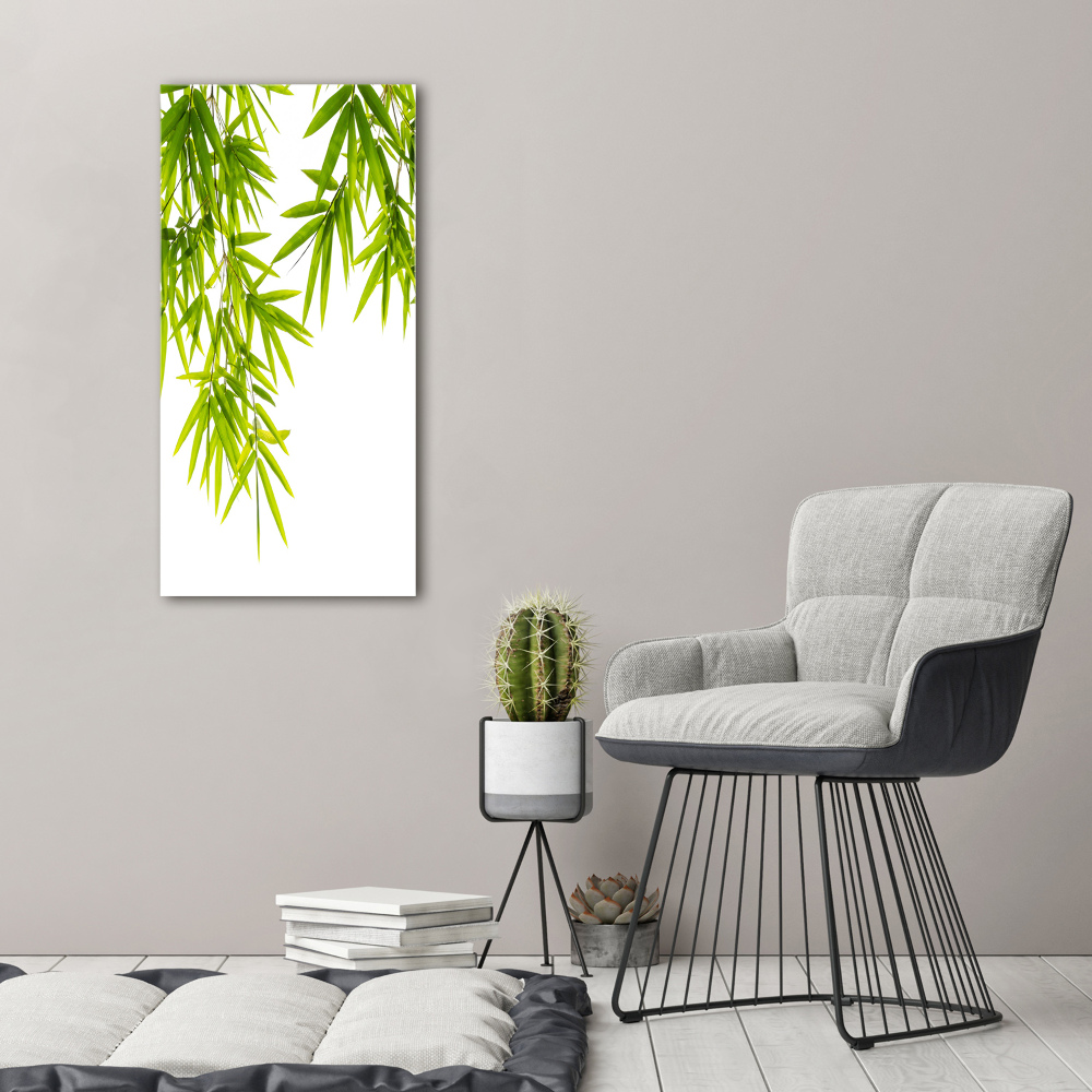 Foto-obraz canvas do salonu Liście bambusa