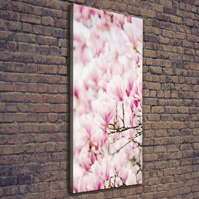 Foto obraz na płótnie pionowy Kwiaty magnolii