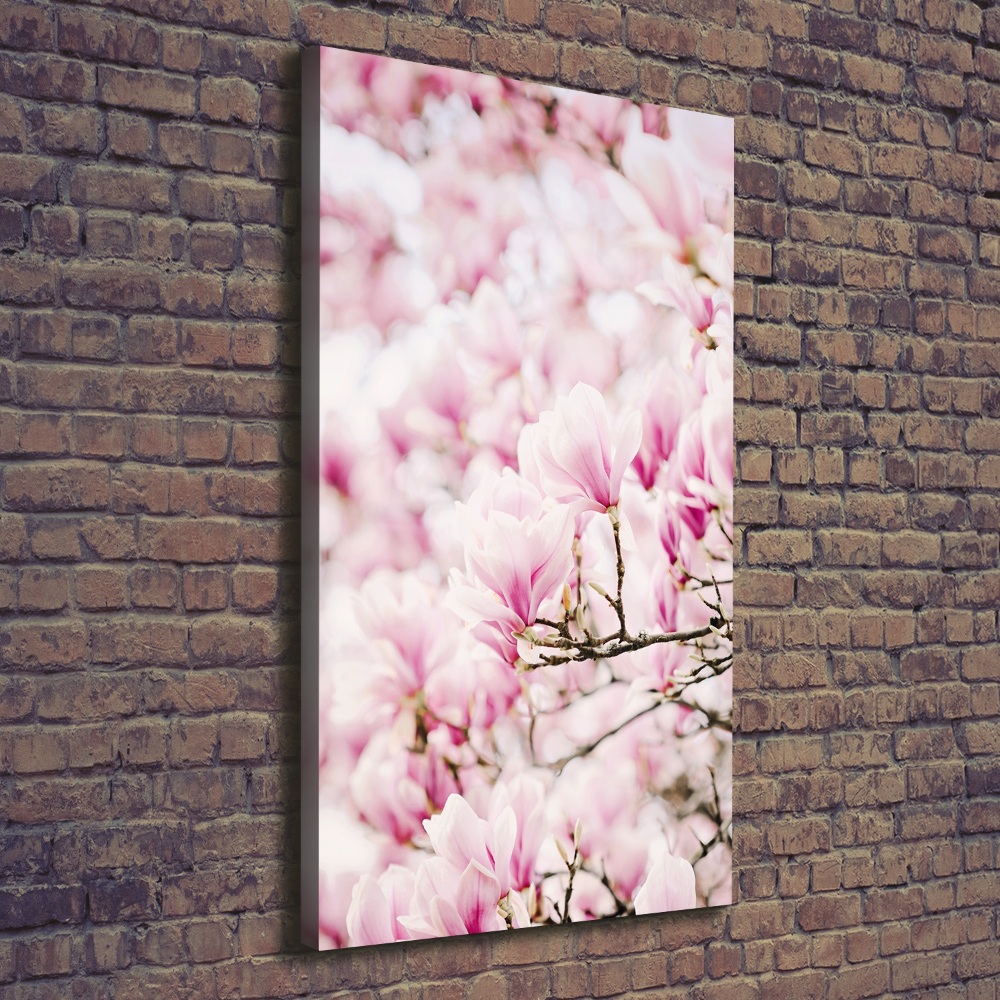 Foto obraz na płótnie pionowy Kwiaty magnolii