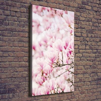 Foto obraz na płótnie pionowy Kwiaty magnolii
