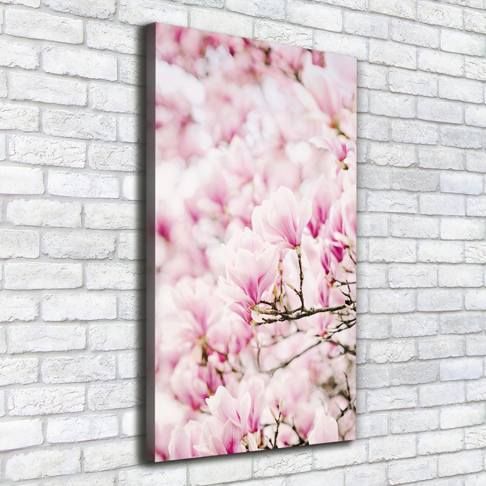 Foto obraz na płótnie pionowy Kwiaty magnolii