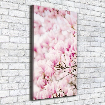Foto obraz na płótnie pionowy Kwiaty magnolii