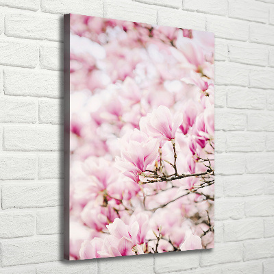 Foto obraz na płótnie pionowy Kwiaty magnolii