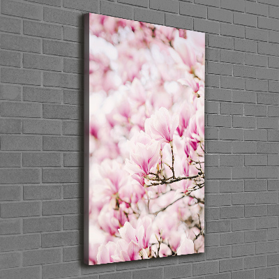 Foto obraz na płótnie pionowy Kwiaty magnolii