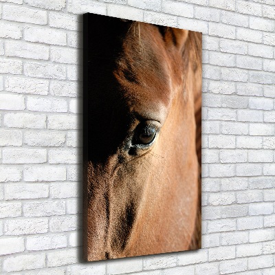 Foto obraz canvas pionowy Koń