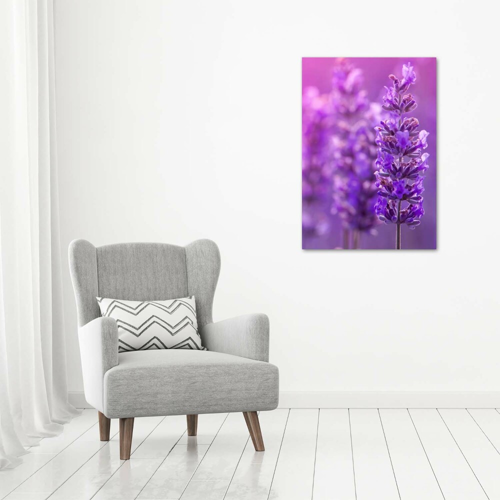 Foto obraz canvas pionowy Pole lawendy