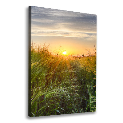 Foto obraz canvas pionowy Pole pszenicy