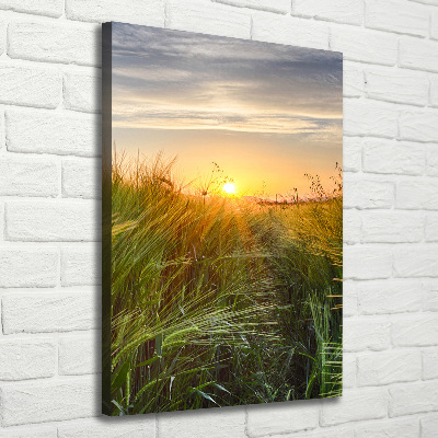 Foto obraz canvas pionowy Pole pszenicy