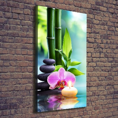 Foto obraz na płótnie pionowy Orchidea i bambus