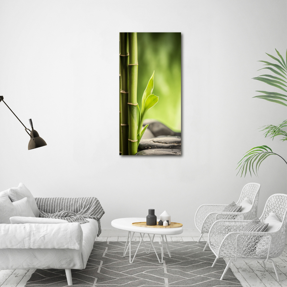 Nowoczesny fotoobraz canvas na ramie pionowy Bambus