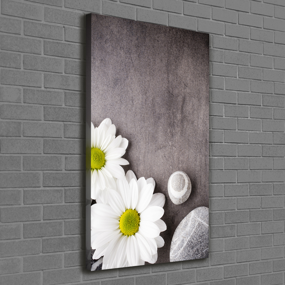 Nowoczesny obraz canvas na ramie pionowy Gerbera