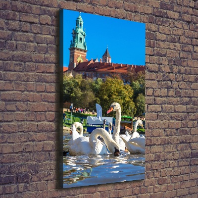 Foto obraz na płótnie pionowy Kraków Polska