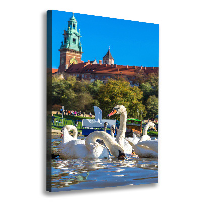 Foto obraz na płótnie pionowy Kraków Polska