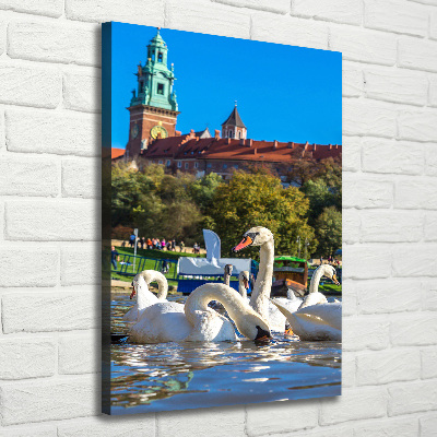 Foto obraz na płótnie pionowy Kraków Polska