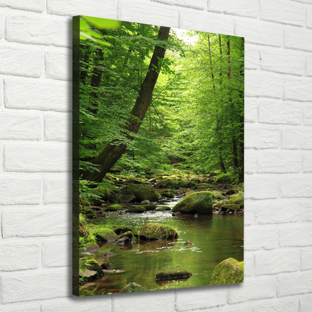 Foto obraz canvas pionowy Rzeka w lesie