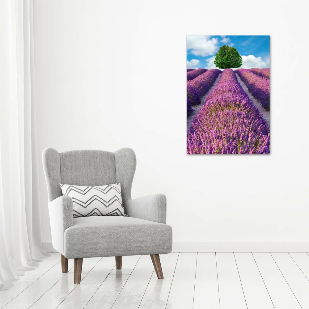 Foto obraz canvas pionowy Pole lawendy
