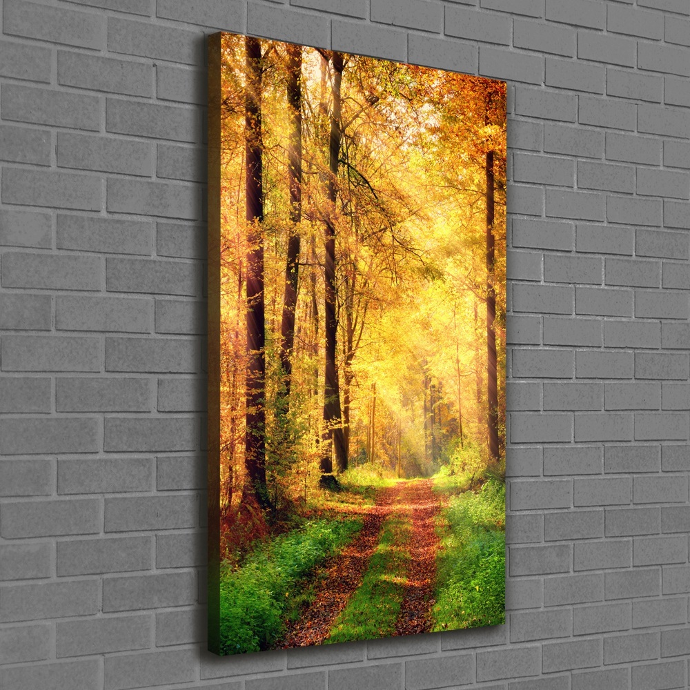 Foto obraz canvas pionowy Las jesienią