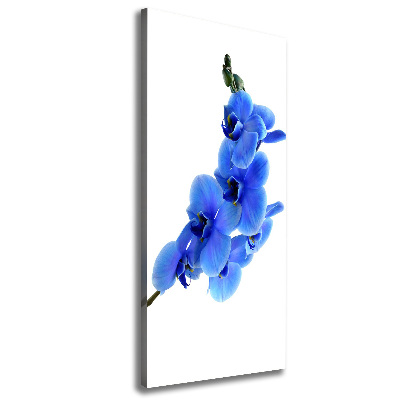 Foto obraz na płótnie pionowy Niebieska orchidea