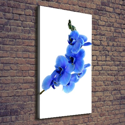 Foto obraz na płótnie pionowy Niebieska orchidea