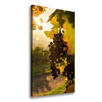 Nowoczesny obraz canvas na ramie pionowy Winnica