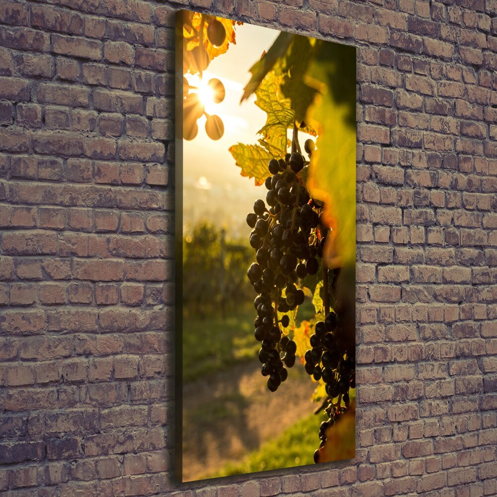 Nowoczesny obraz canvas na ramie pionowy Winnica