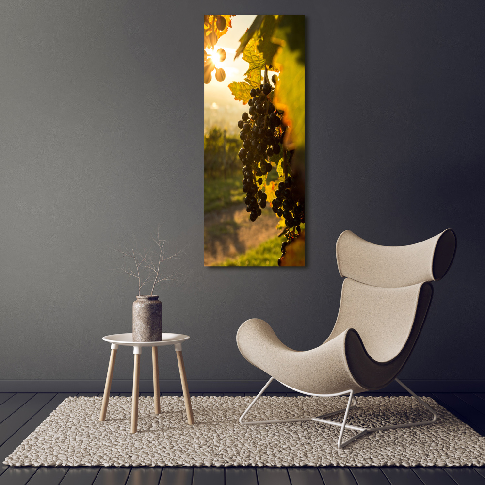 Nowoczesny obraz canvas na ramie pionowy Winnica