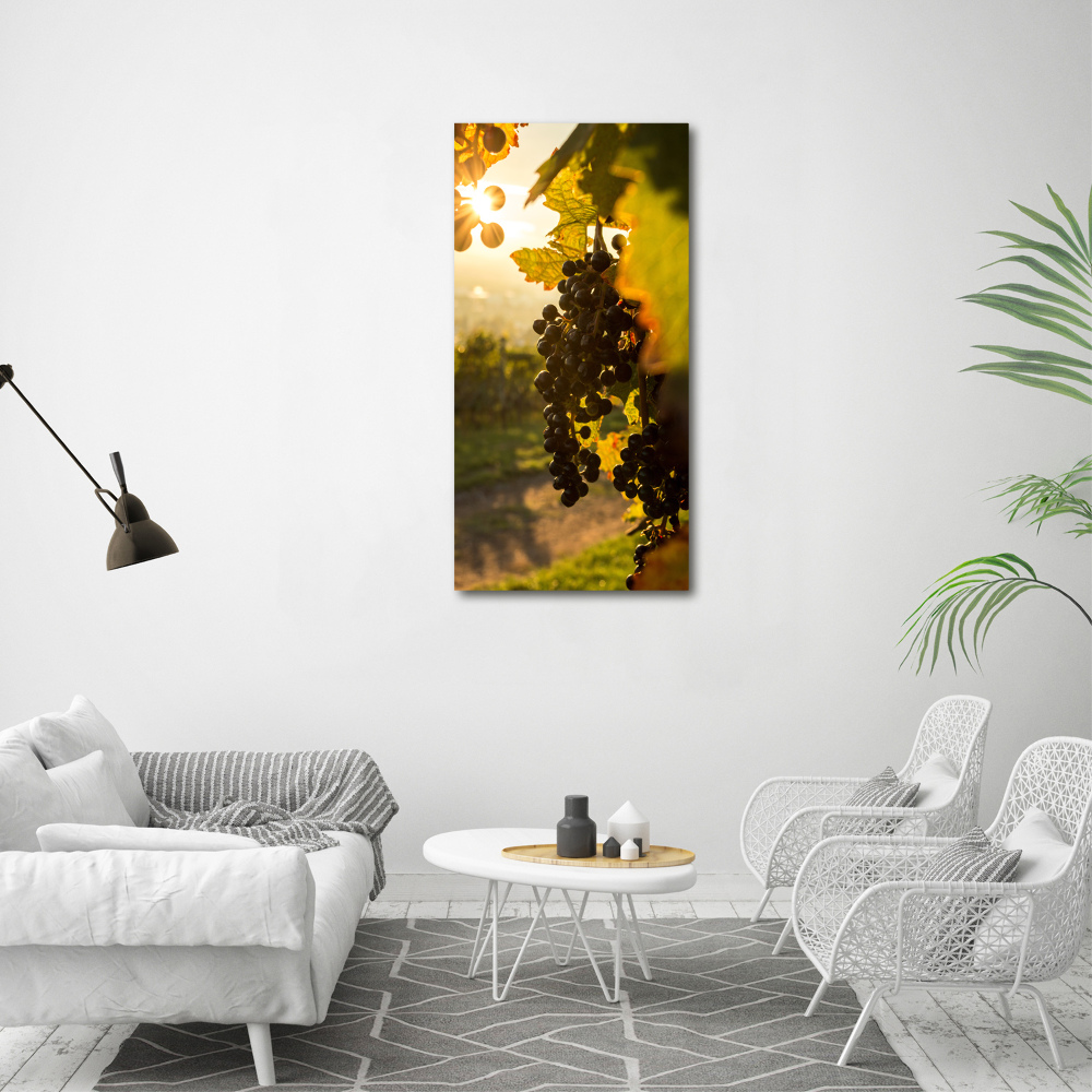 Nowoczesny obraz canvas na ramie pionowy Winnica