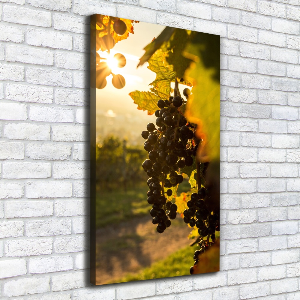 Nowoczesny obraz canvas na ramie pionowy Winnica