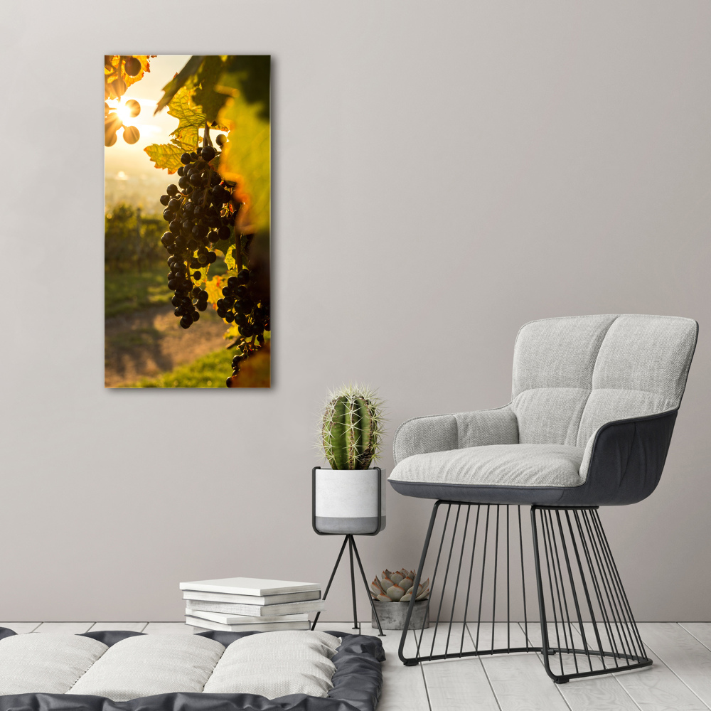 Nowoczesny obraz canvas na ramie pionowy Winnica