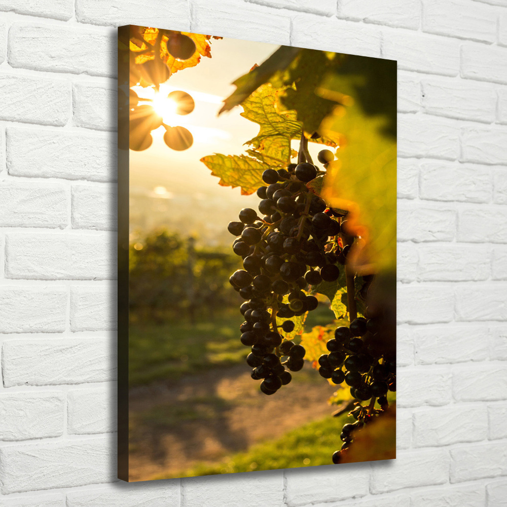 Nowoczesny obraz canvas na ramie pionowy Winnica