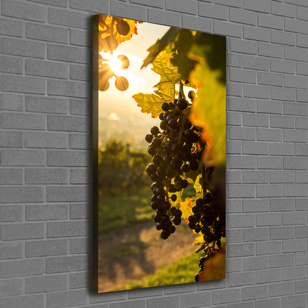 Nowoczesny obraz canvas na ramie pionowy Winnica