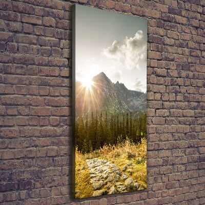 Foto obraz na płótnie pionowy Zachód słońca Tatry
