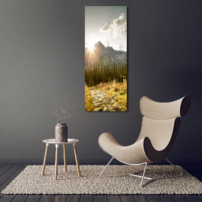 Foto obraz na płótnie pionowy Zachód słońca Tatry