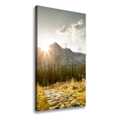 Foto obraz na płótnie pionowy Zachód słońca Tatry