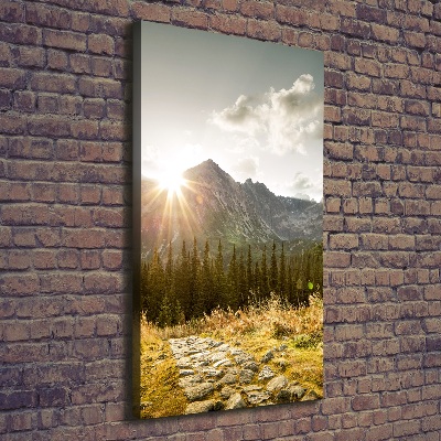 Foto obraz na płótnie pionowy Zachód słońca Tatry