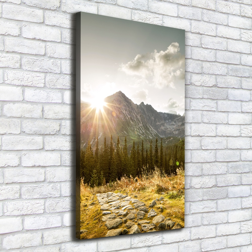 Foto obraz na płótnie pionowy Zachód słońca Tatry