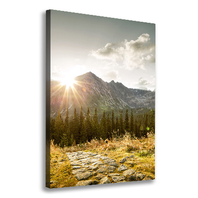 Foto obraz na płótnie pionowy Zachód słońca Tatry