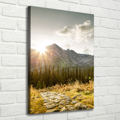 Foto obraz na płótnie pionowy Zachód słońca Tatry