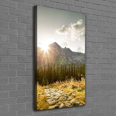 Foto obraz na płótnie pionowy Zachód słońca Tatry