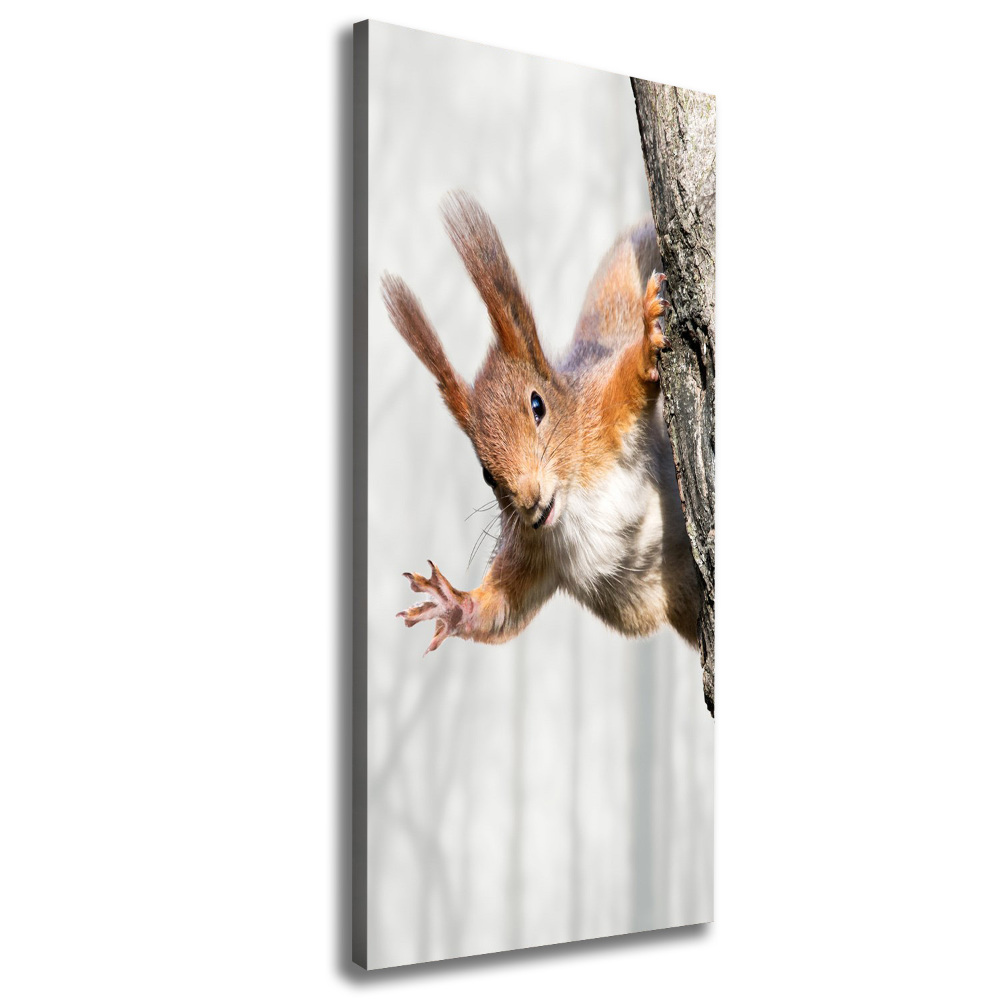 Foto obraz canvas pionowy Wiewiórka na drzewie