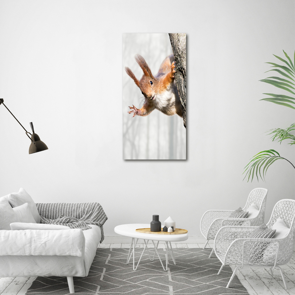Foto obraz canvas pionowy Wiewiórka na drzewie