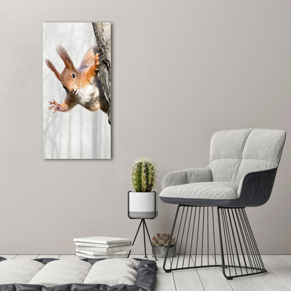 Foto obraz canvas pionowy Wiewiórka na drzewie