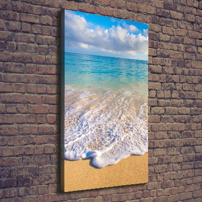 Foto obraz na płótnie pionowy Tropikalna plaża