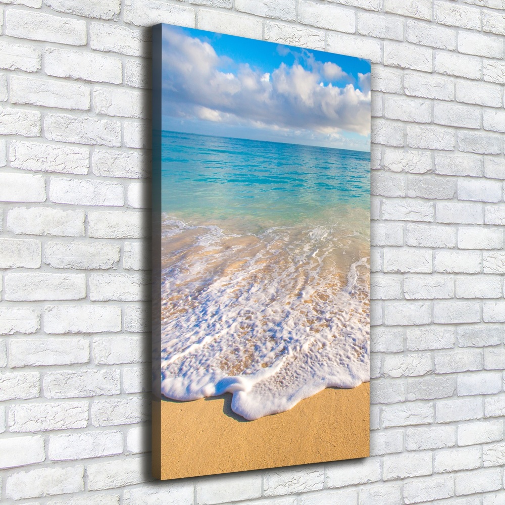 Foto obraz na płótnie pionowy Tropikalna plaża