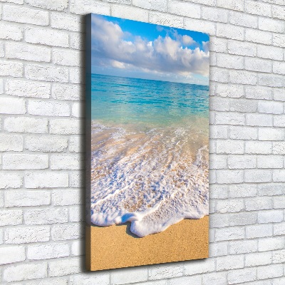 Foto obraz na płótnie pionowy Tropikalna plaża