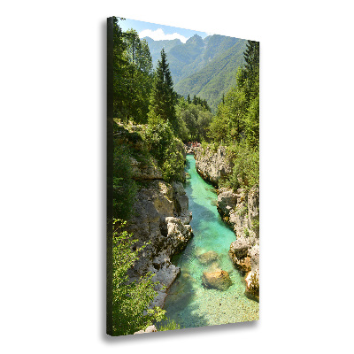 Foto obraz canvas pionowy Potok górski