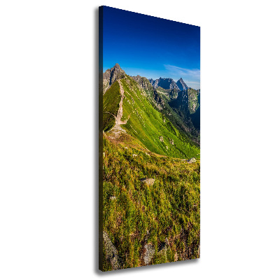 Foto obraz drukowany na płótnie pionowy Tatry
