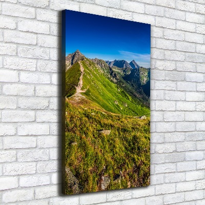 Foto obraz drukowany na płótnie pionowy Tatry